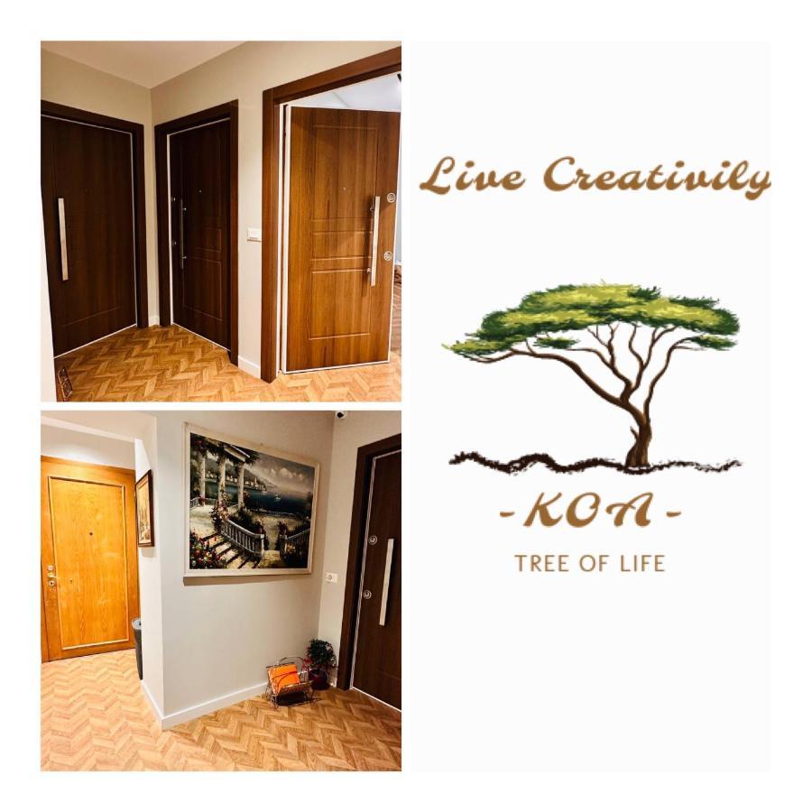 טיראנה Koa Guesthouse Stadium Congress Elite Orl Embassy מראה חיצוני תמונה